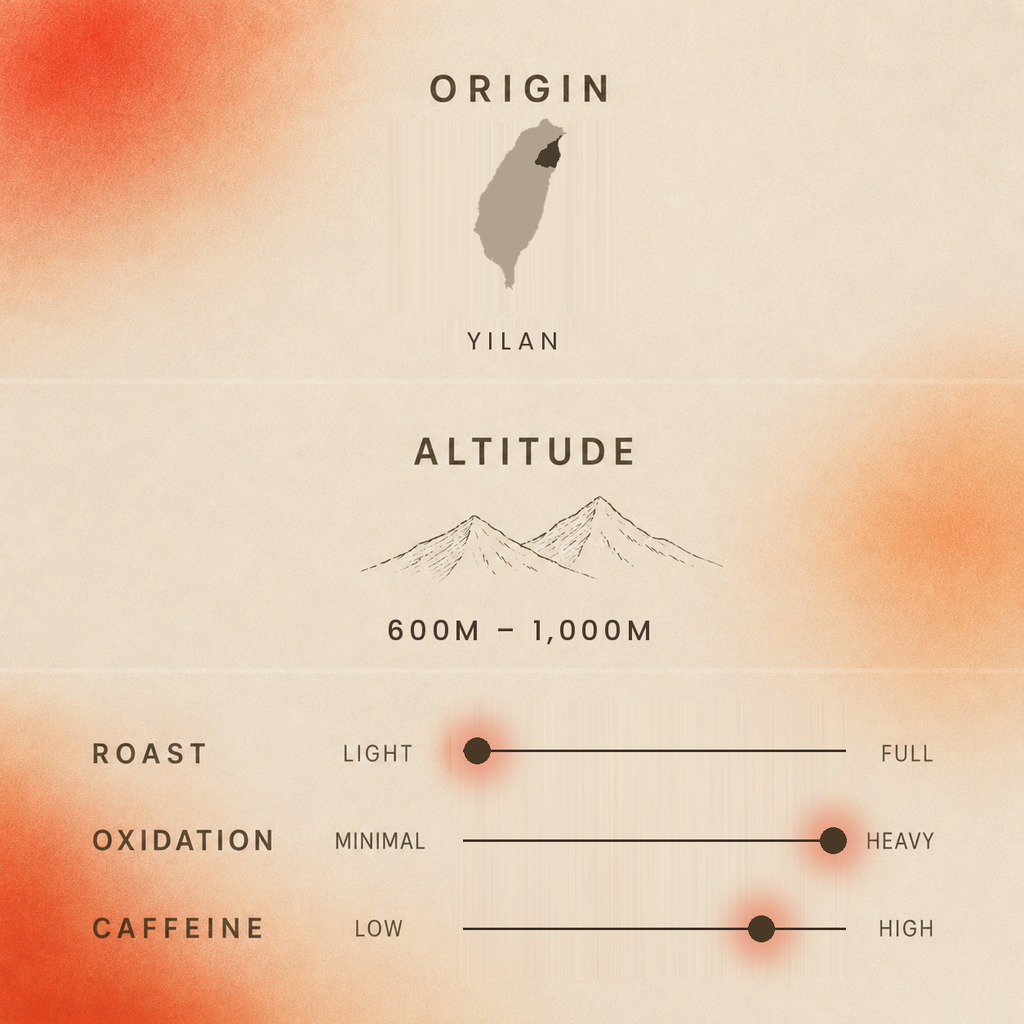 Qi Yun Black Tea